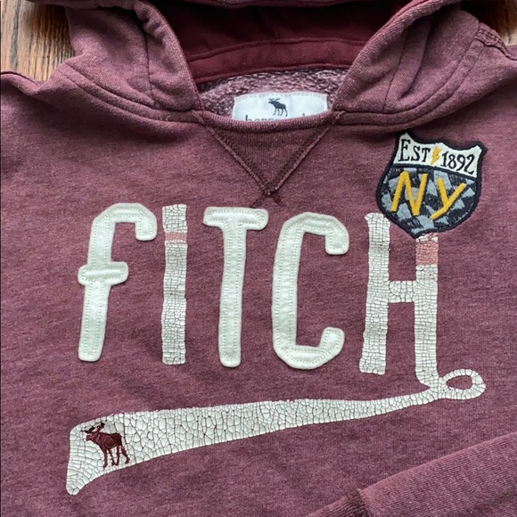 Fitch pullover hoodie - Picture 2 of 3
